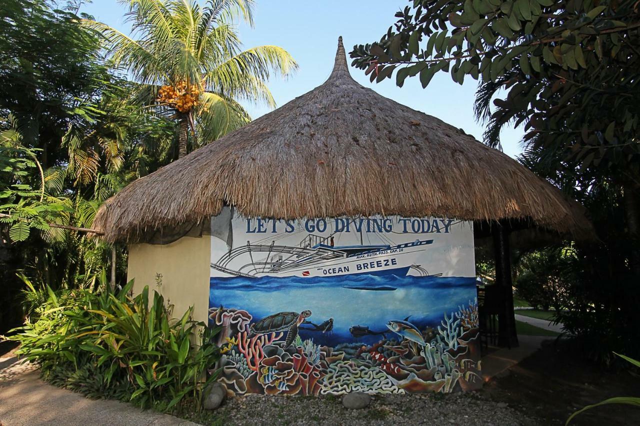 Thalatta Resort Zamboanguita  Exteriör bild